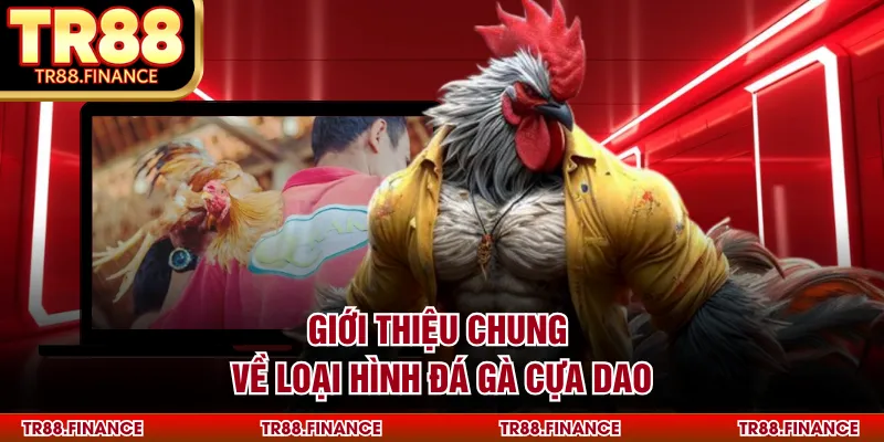 Đá Gà Cựa Dao - Sân Chơi Giải Trí Hấp Dẫn Nhất Hiện Nay 1 Giới thiệu chung về loại hình đá gà cựa dao