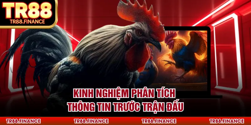 Đá Gà Cựa Dao - Sân Chơi Giải Trí Hấp Dẫn Nhất Hiện Nay 3 Kinh nghiệm phân tích thông tin trước trận đấu